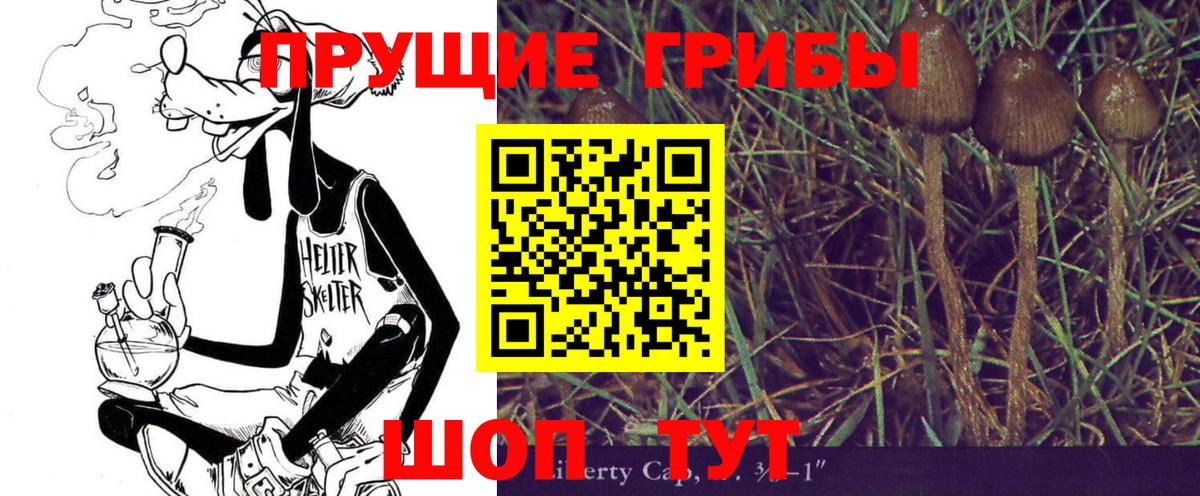 Гурьевск  Галлюциногенные грибы мицелий  Вход с VPN 